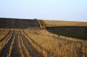Crop Diagonals; North Dakota  
