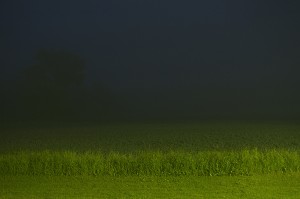 Night Landscape; Michigan  