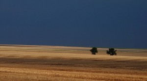 Afternoon Storm; Colorado    