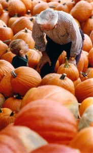 Cotton Pickin Punkin Pickers