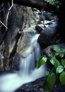 Upper Falls, Miners  