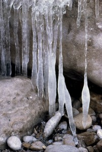 Candled Icicles  